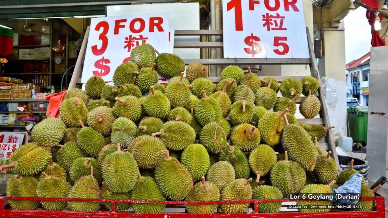 Zen Rooms Geylang سنغافورة المظهر الخارجي الصورة